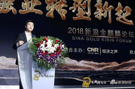 许凌在新浪金麒麟论坛现场发外演讲