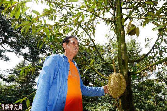 榴莲种植户伦·斯帕洛特（2018年12月，泰国尖竹汶府）