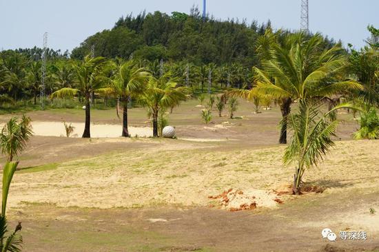 海南明日香高尔夫乡村俱乐部内的球场现状。球场已成型，但草坪暂未达标。  《等深线》记者  程维 摄
