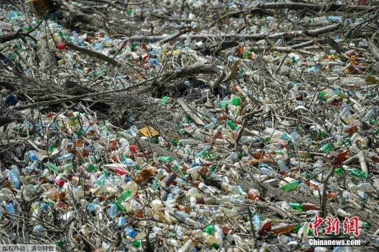  图为塑料废弃物。