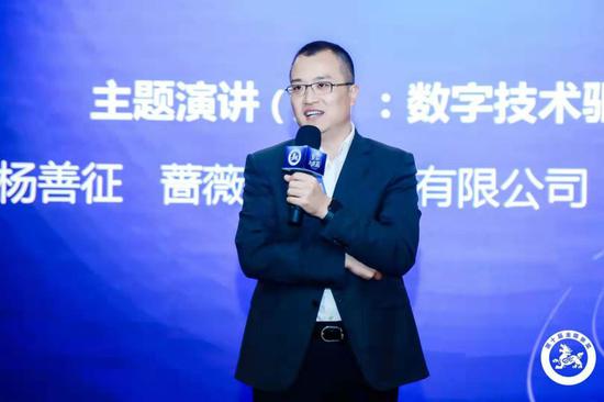 蔷薇信息技术有限公司（大树金融）CEO杨善征