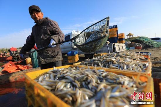 三部门发文推进大水面生态渔业统筹布局协调发