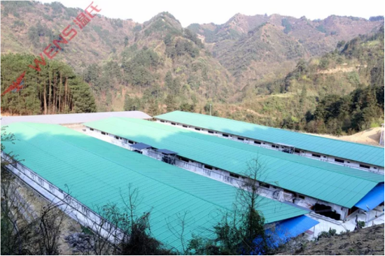 温氏股份坪茶村政府集体经济养殖小区 图片摘自：温氏股份官网