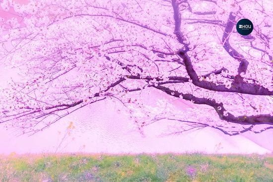 中国人寿用广发银行下一盘怎样的棋？