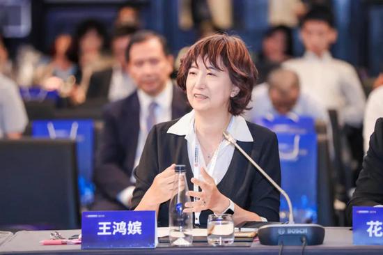 摩根士丹利华鑫基金总经理 王鸿嫔