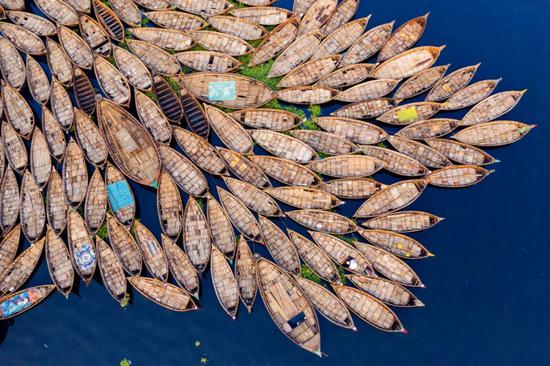 美国加州大学教授：新冠疫情如何改变世界