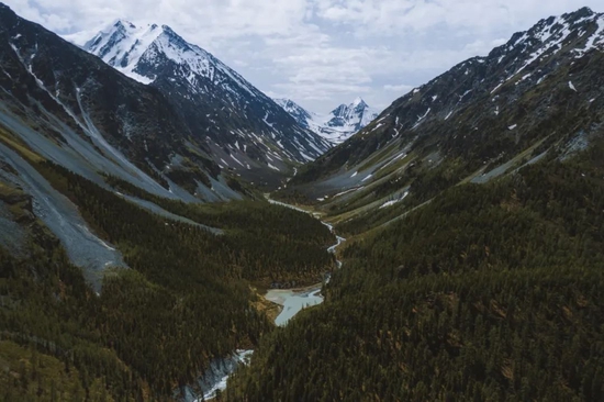 “杨锐文首谈市场调整：深感难受，真心看好