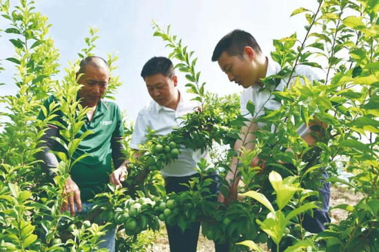 ▲ 工行重庆分行客户司理深刻田间地头，为涉农指标主体提供普惠金融管事