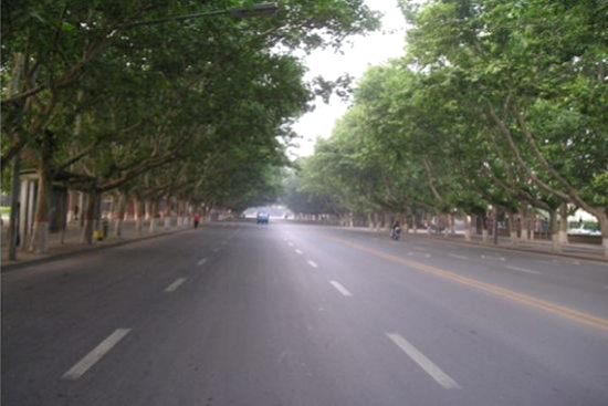 图10-2 四十年后的中华大街