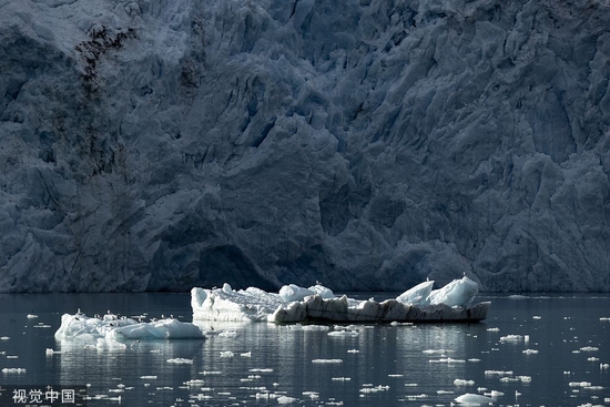 受寰球征象变化影响 北极地区约150万正常公里海冰融解 图源 视觉中国