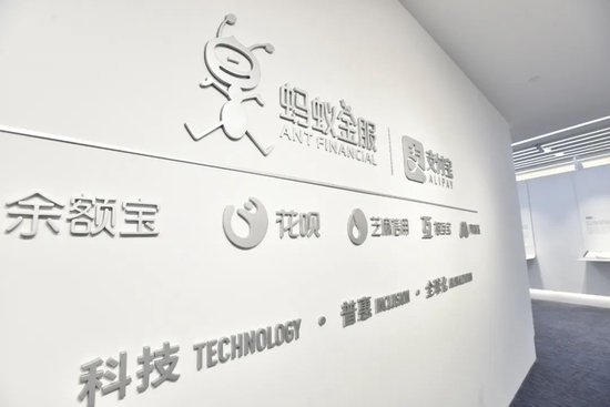 當螞蟻不再姓“馬” 當螞蟻不再姓“馬”