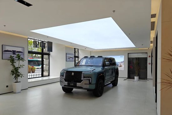 富豪"消费降级",盯上仰望u8_新浪财经_新浪网