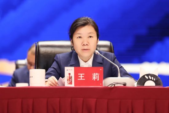 王莉主办会议