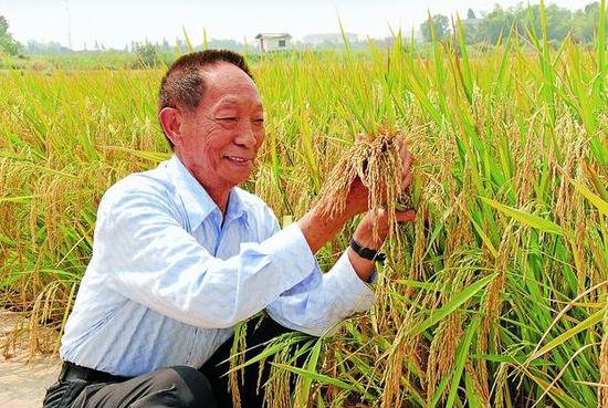 别拿angelababy跟袁隆平比收入她不配