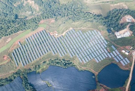 两会“碳中和”概念引热议：“光伏一哥”隆基股份有何先行之见？