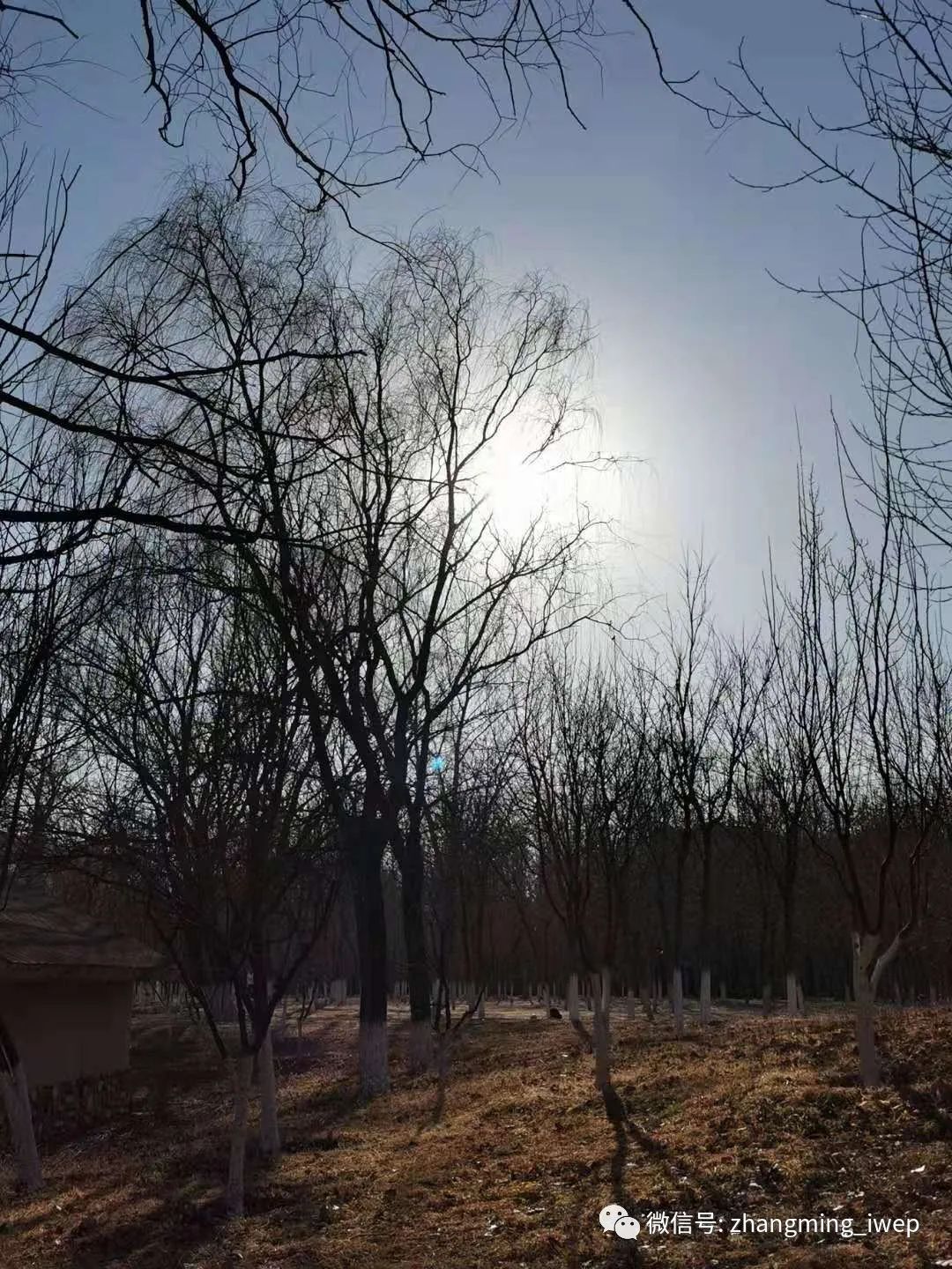 张明谈全球经济增速预测：V型、U型、耐克型、还是K型？