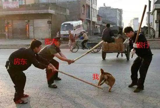 欠微众的贷款该谁还？蛋壳公寓招股书说：蛋壳蛋壳还是蛋壳