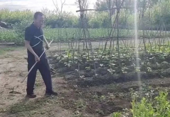 戒酒一段时间后，刘明在地里种菜