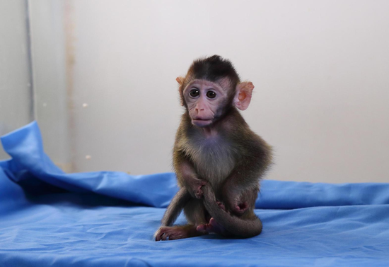 抖音播放量自助下单平台：真人操作，提升流量效果真的有效吗？