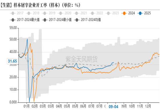 生猪:现货低迷,远月探底