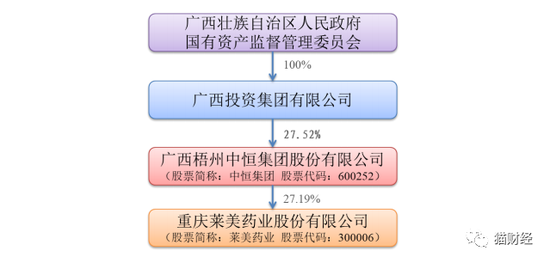来源：莱美药业发行股票募集说明书