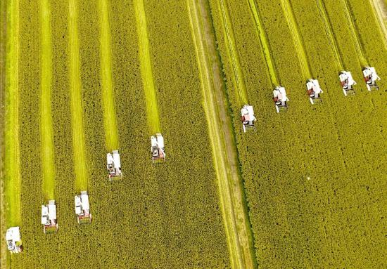 亩产千斤，为什么农民仍然赚不到钱？