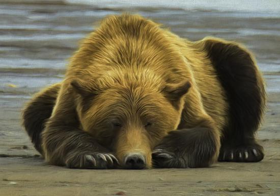 大摩策略师熊在休息而非冬眠明年将迎来最后打击