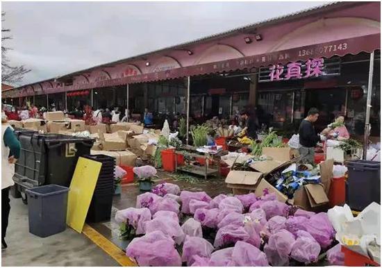 深圳龙岗某花卉小镇一角