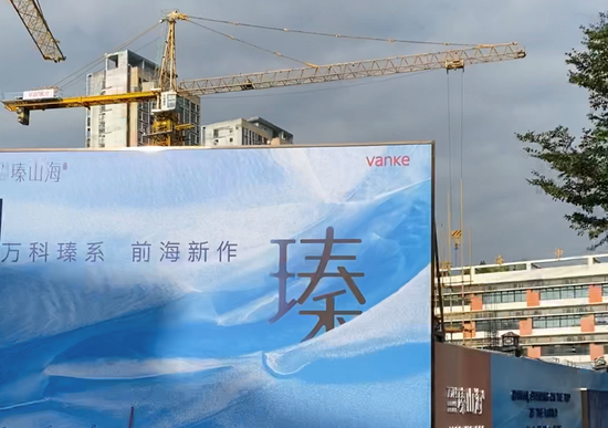 深圳万科网红盘