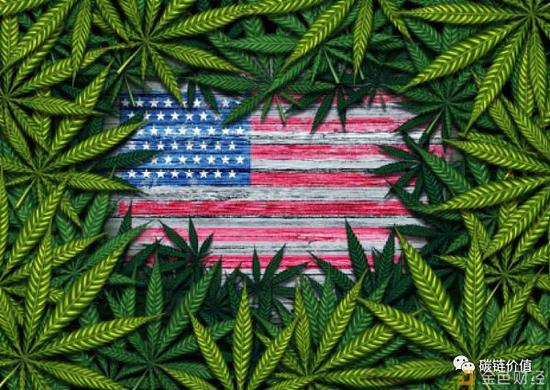 为什么大麻行业需要区块链 大麻 新浪财经 新浪网