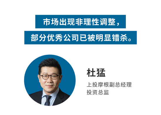 “反弹还是逆转？上投摩根投资总监杜猛、孙芳等齐发声——期待风雨后的彩虹