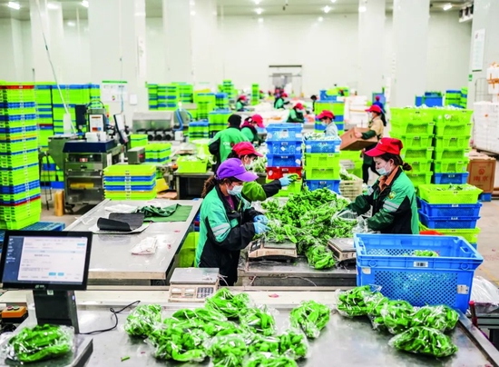 此轮疫情之后，老百姓还会买车吗？