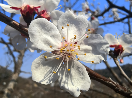 在线自助下单，轻松购物体验，你试过吗？