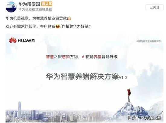 华为也“养猪”：上市公司怎么看？多家A股公司回应