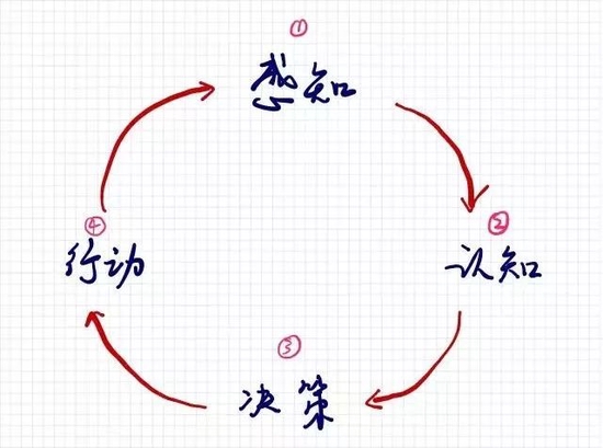 “朱雀基金|认知飞轮：在不确定的世界里寻找确定