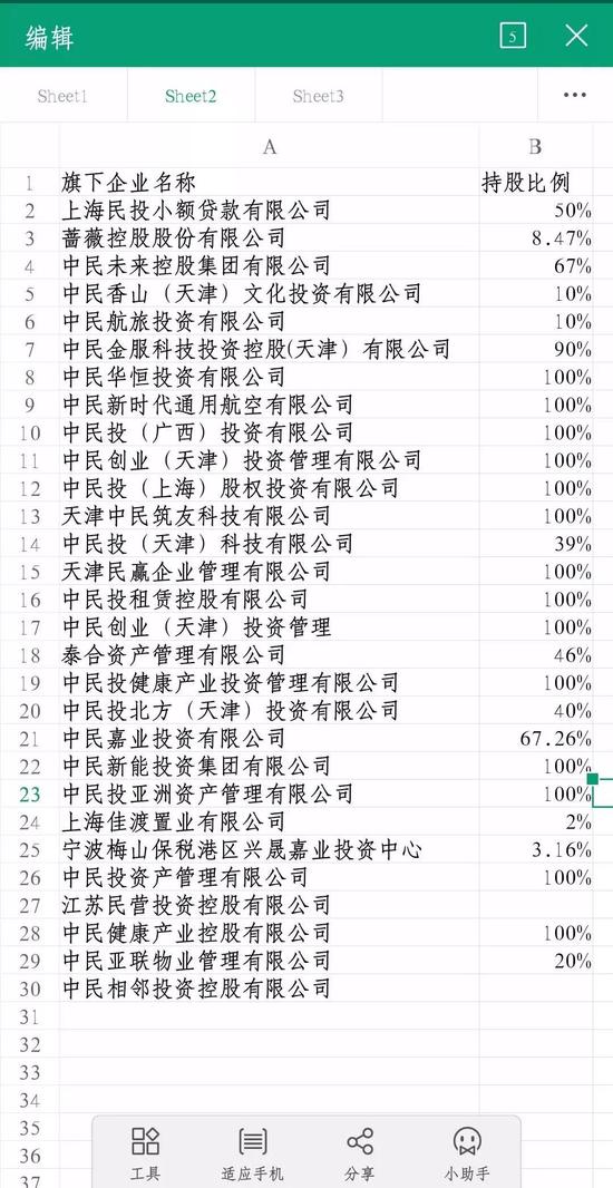 中民投一级子公司名单，数据来源于天眼查，图表由反做空信息中心制作
