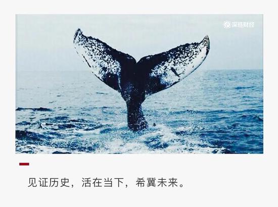 来源：链Deepchain