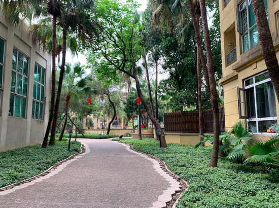 广州二沙岛豪宅房租因地铁开通下降?网友戏称:难得一见了