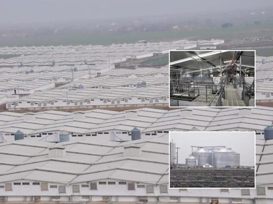 亿元猪圈堪比五星酒店 牧原股份“注水”了吗？