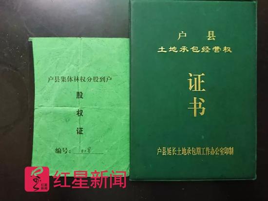 邹军红持有的股权证与林权证&nbsp;&nbsp;图片来源:红星新闻