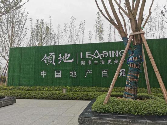 时隔半年:领地又递交IPO招股书 曝现金流首次“回正”