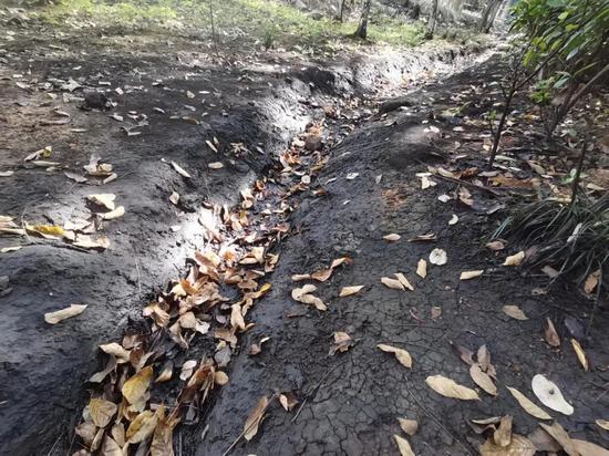 媒体：100万吨“毒油”威胁长江沿线 生态炸弹需拆除