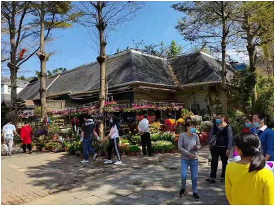 深圳南山某花卉小镇一角
