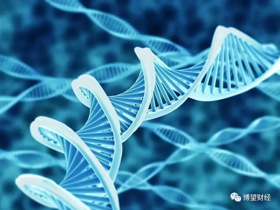 荣盛生物倒在科创板门口：营收结构单一、高额推广费侵蚀利润、竞争力不足，内控缺位、股权代持牵出行贿问询