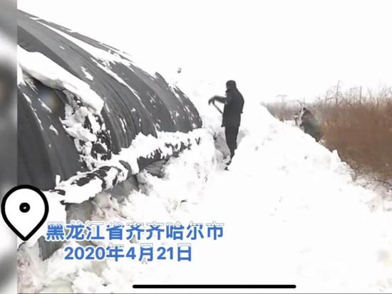 建投点评 玉米春播遇上大雪今年需警惕极端天气 新浪财经 新浪网