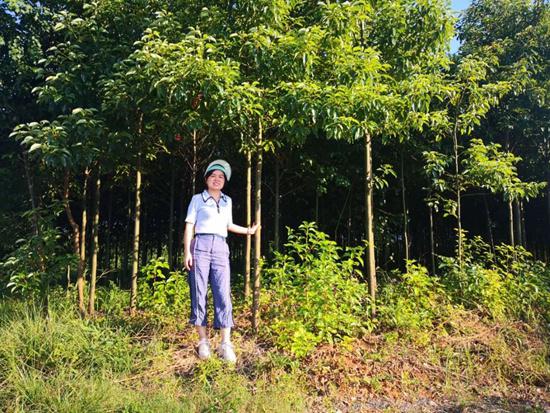 “造火箭少女”回乡种树：梦想可以有无数种样子
