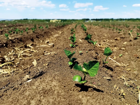 ����������������������ֵ���������֮һ��ͼ/������ʡ�����ر��������о�Ժ