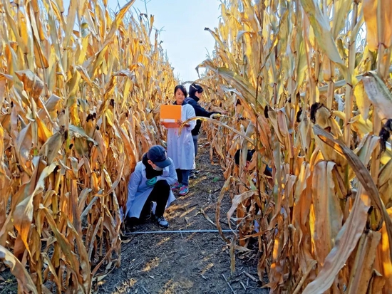 �п�Ժ����Ӧ����̬�о��������о�Ա�Ŷӳ�Ա�ڱ����Ը����з����ز����ײ�����