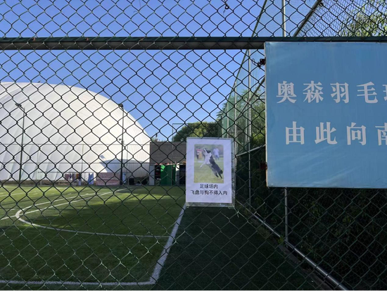 飞盘大战足球