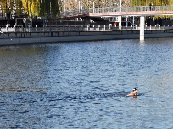 11月26日，北京一男子在南护城河冬泳。摄/财经十一人